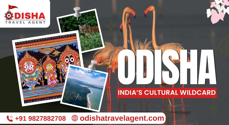 Why Odisha is India’s Best-Kept Secret for Culture and Nature